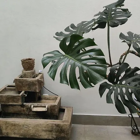 Leather Loft Rural *